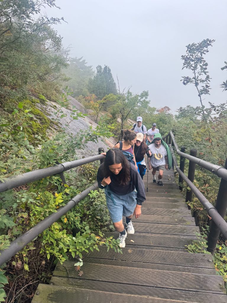 Group climbing stairs in the mist