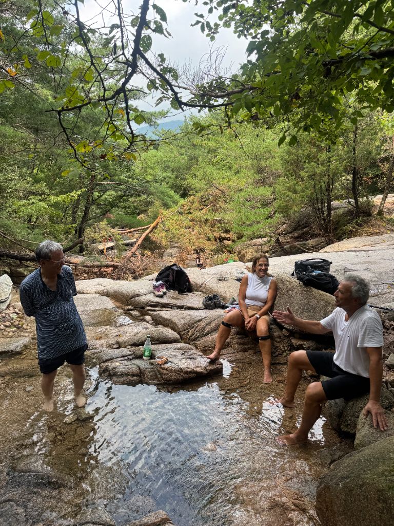 Guests relaxing at stream