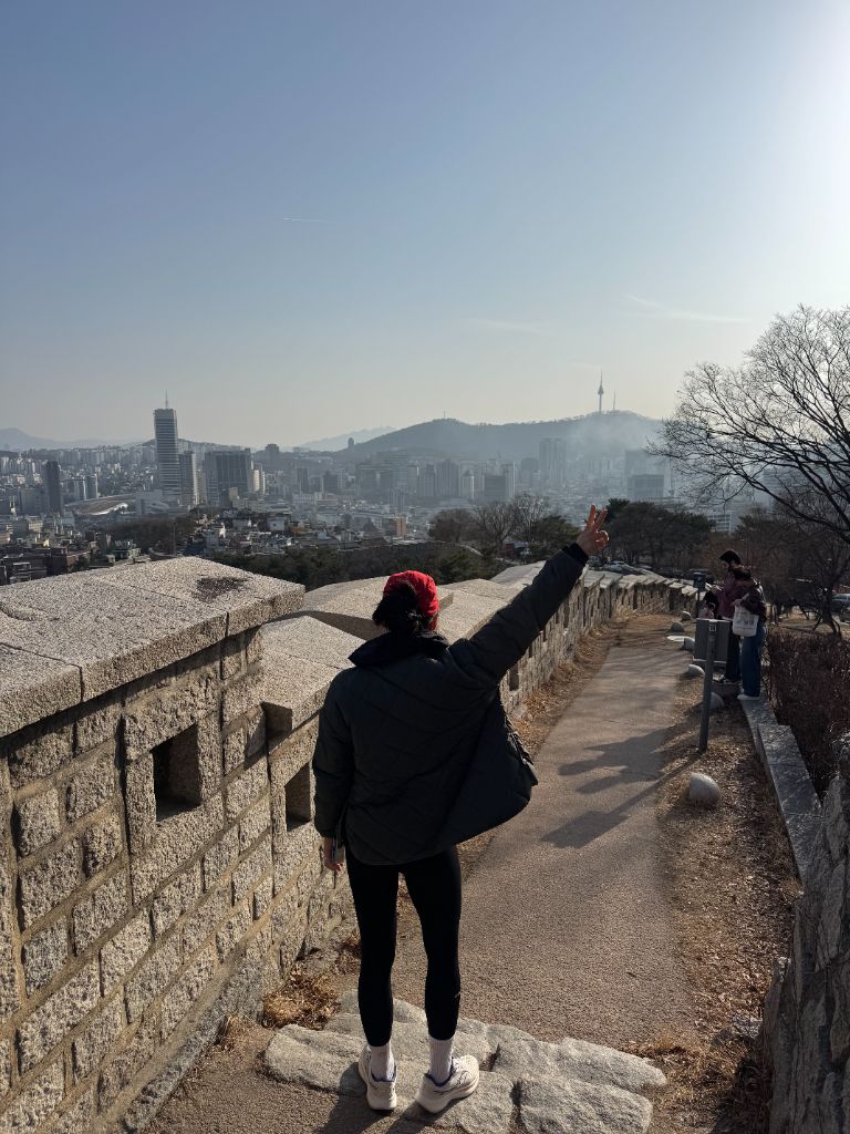 Walking Seoul City Wall with Namsan Tower view