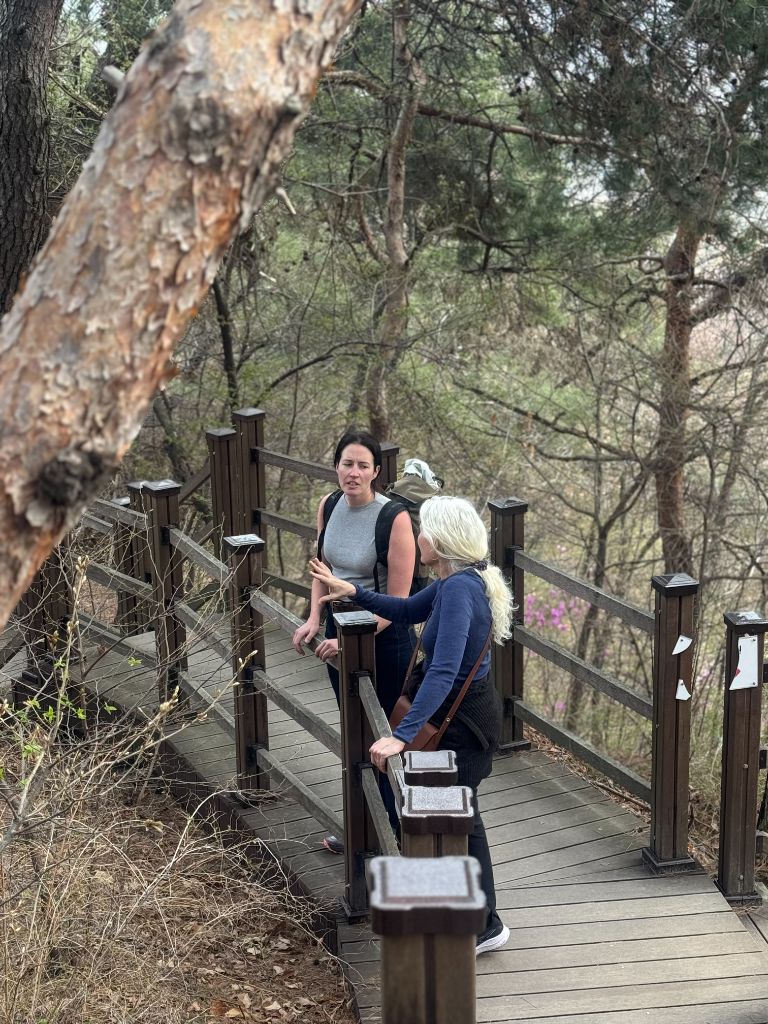 Guide explaining on forest trail bridge