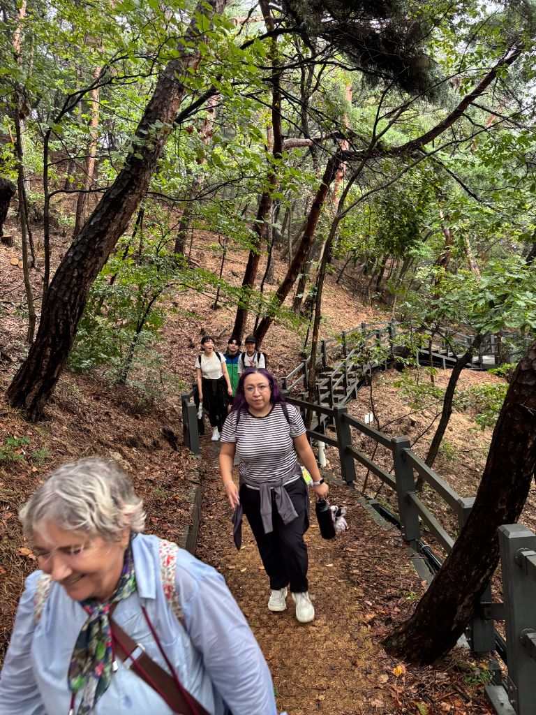 Group walking down forest staircase trail