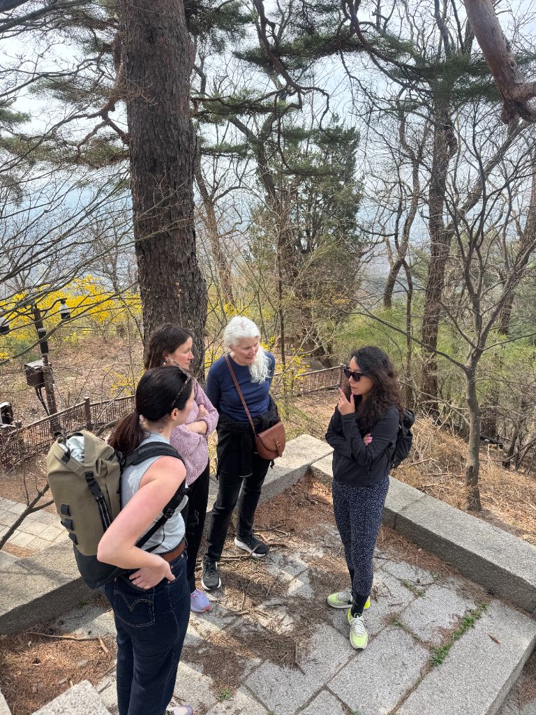 Group chatting at forest viewpoint
