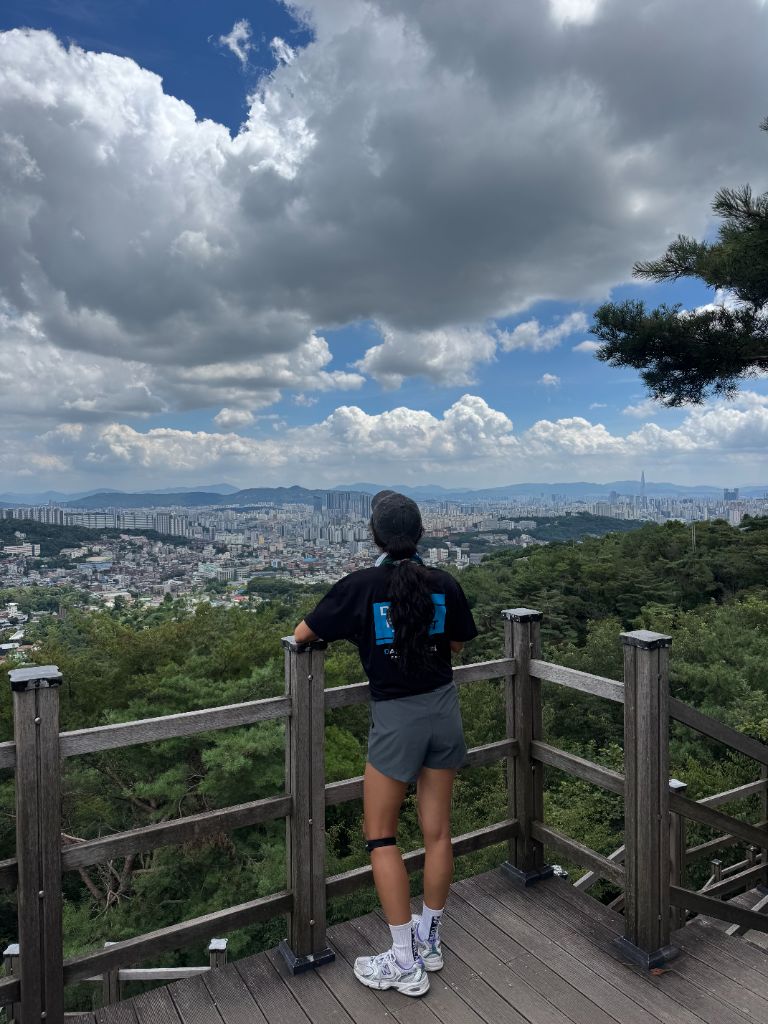 Looking out over Seoul city valley
